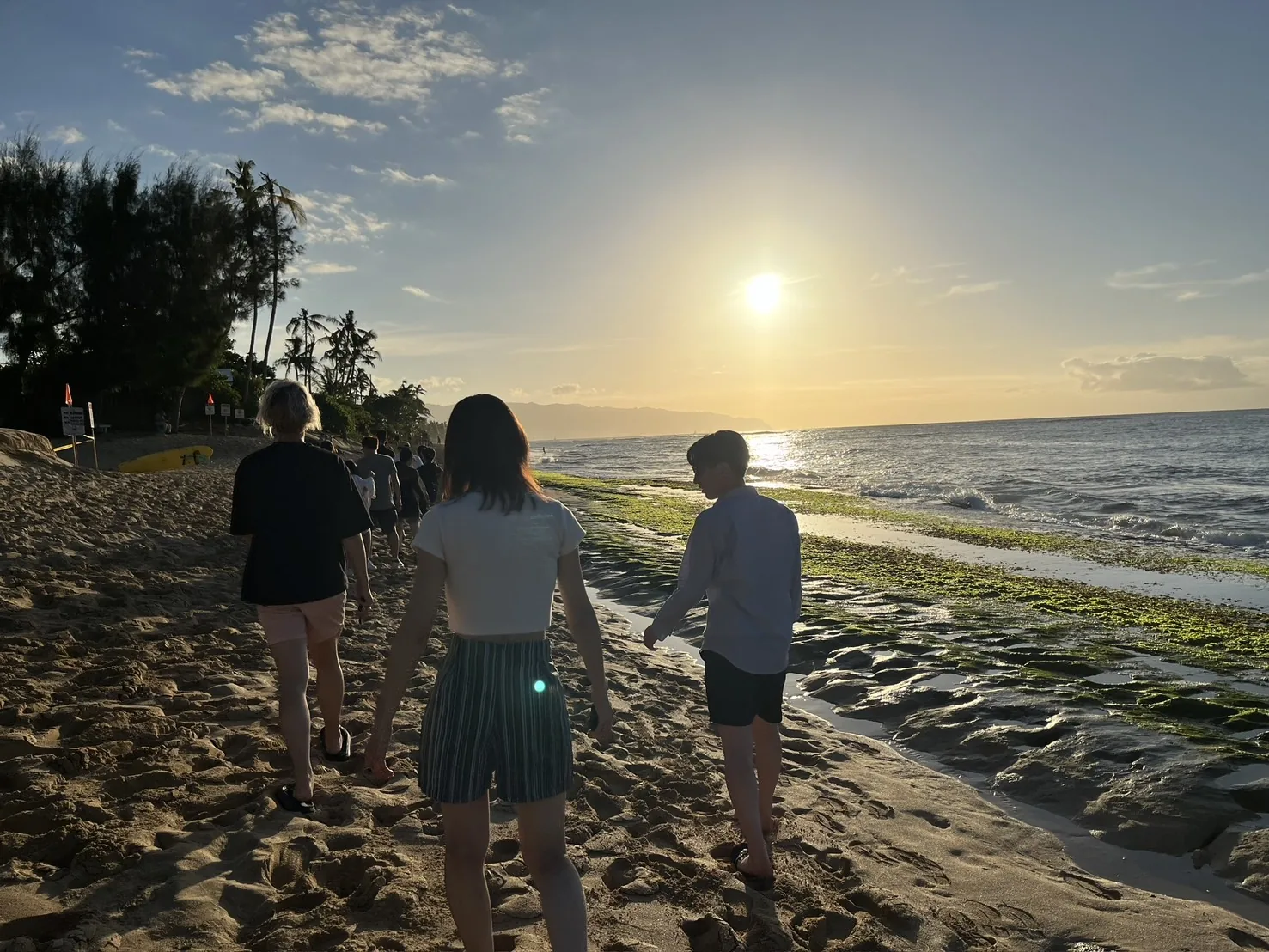 夕日を追って浜辺を歩くメンバー
